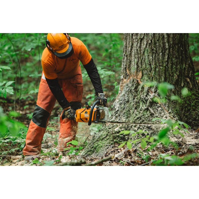 STIHL® MS 500¡