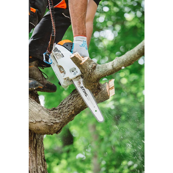 STIHL® MS 151 T C-E