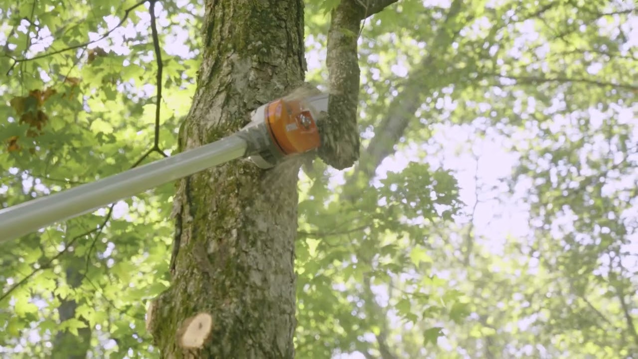STIHL® – HTA 160 Cordless Pole Pruner | 36V Battery‑Powered | Unit Only