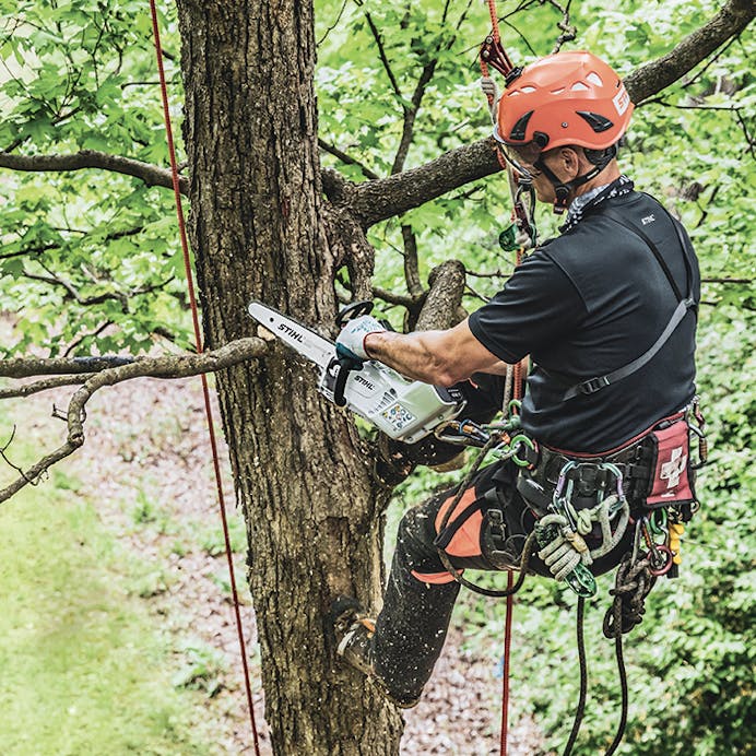 STIHL® MSA 161 T