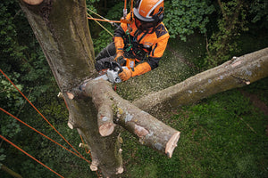 Stihl MSA 220 T Cordless Chainsaw