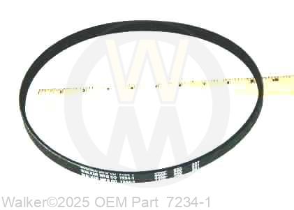 Walker - Blower Belt (Micro-V) - 7234-1