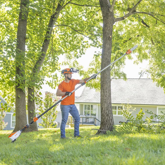 STIHL® – HTA 160 Cordless Pole Pruner | 36V Battery‑Powered | Unit Only