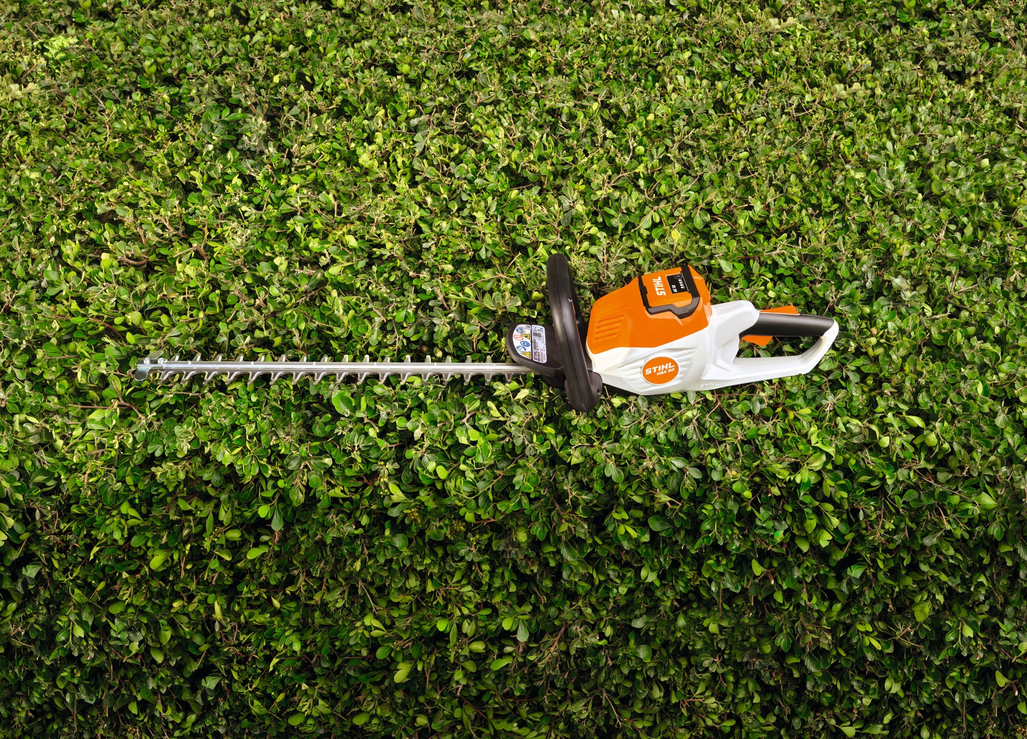 STIHL® HSA 50 – 20in Battery Hedge Trimmer | AK System (Tool‑Only)