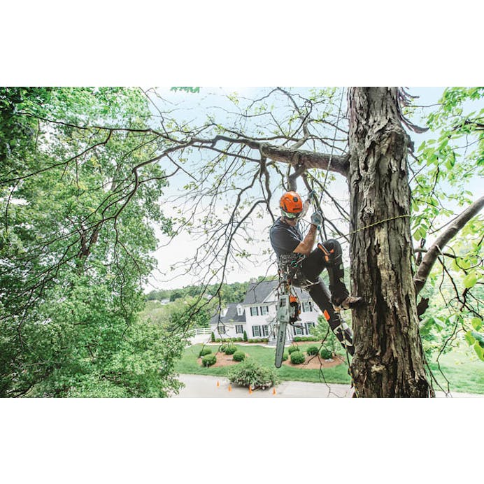 Stihl MS 201 T C-M Chainsaw