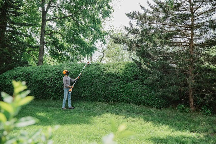 Stihl HLA 56 Cordless Hedge trimmer