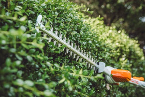 Stihl HLA 56 Cordless Hedge trimmer