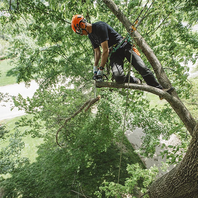 STIHL® MS 194 T
