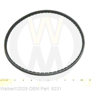 Walker - Drive Belt (3VX355) - 6231