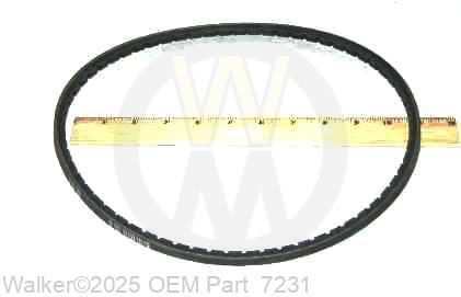 Walker - Engine Jackshaft Belt (3VX335) - 7231